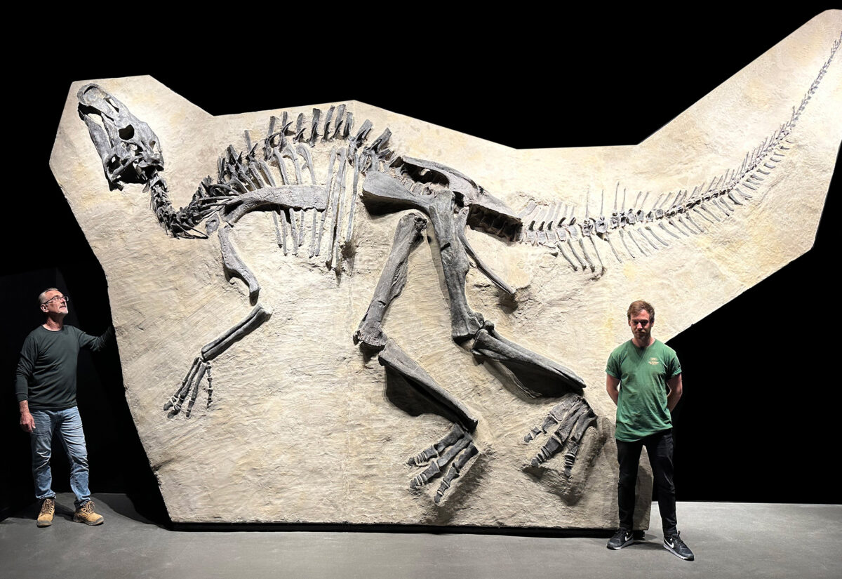 edmontosauraus ok retouché