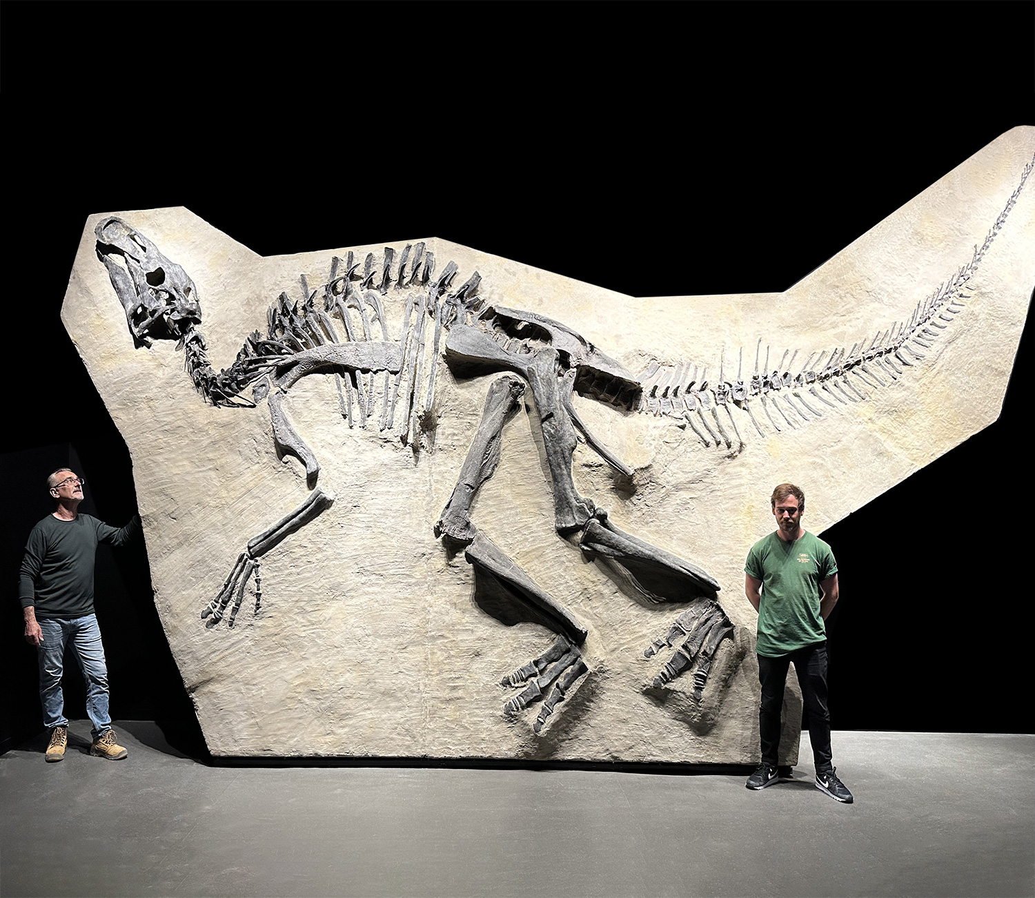Edmontosauraus