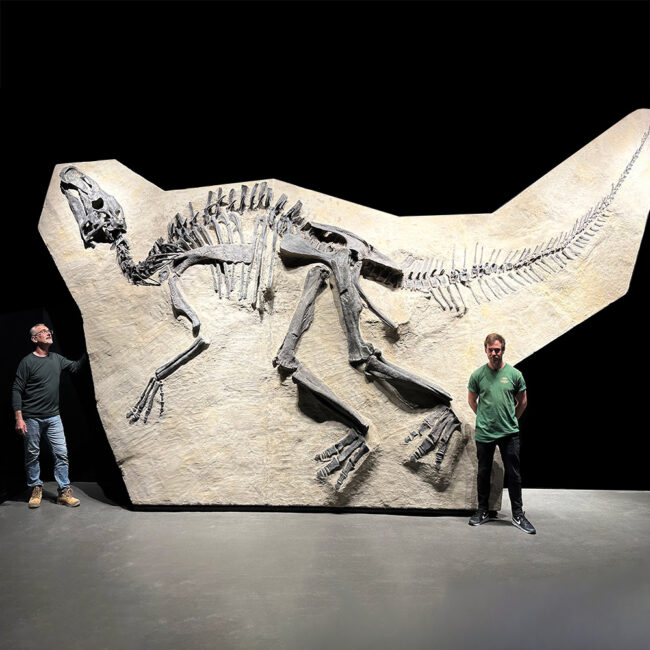 Edmontosauraus