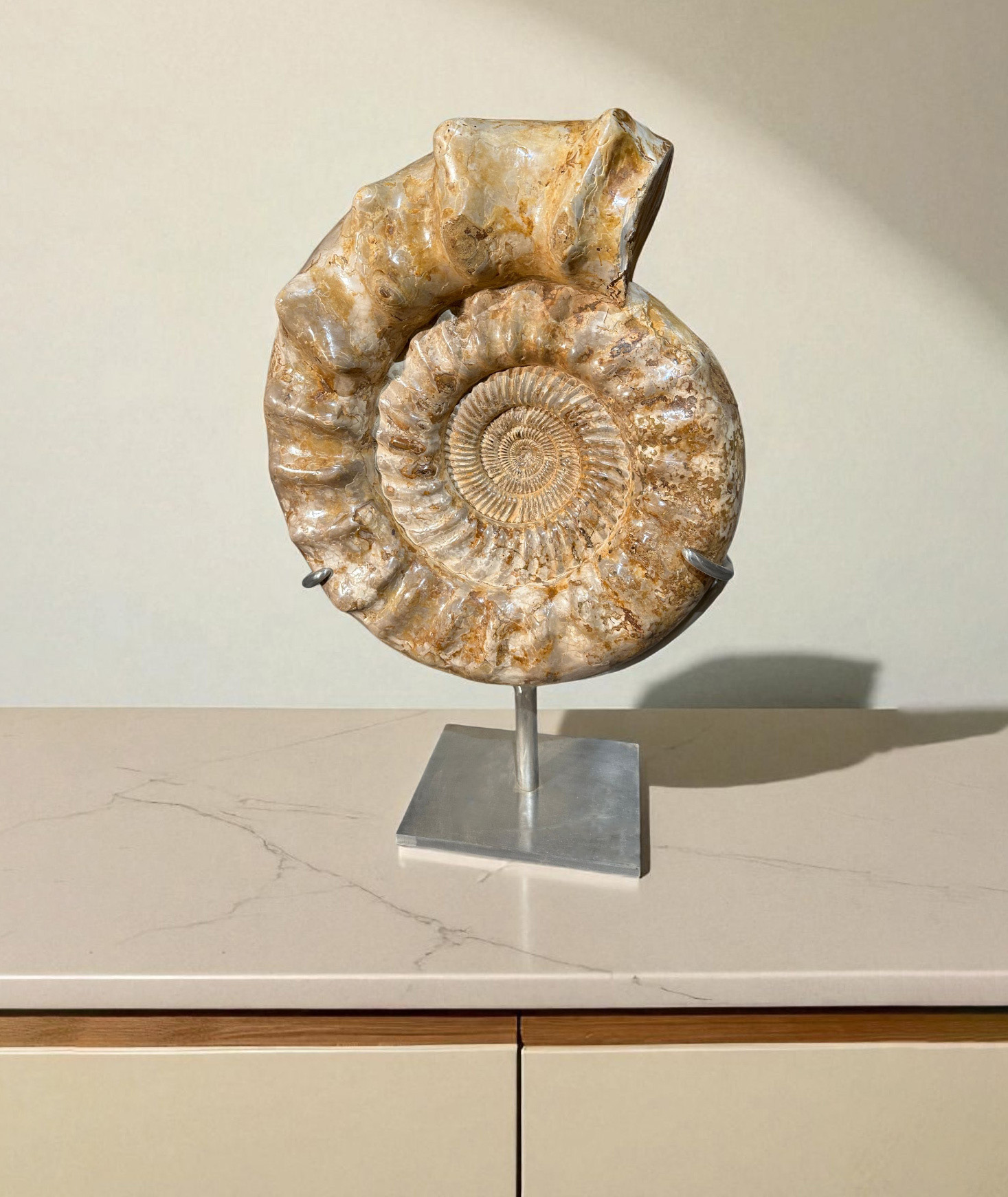 Ammonite kranaosphinctes
