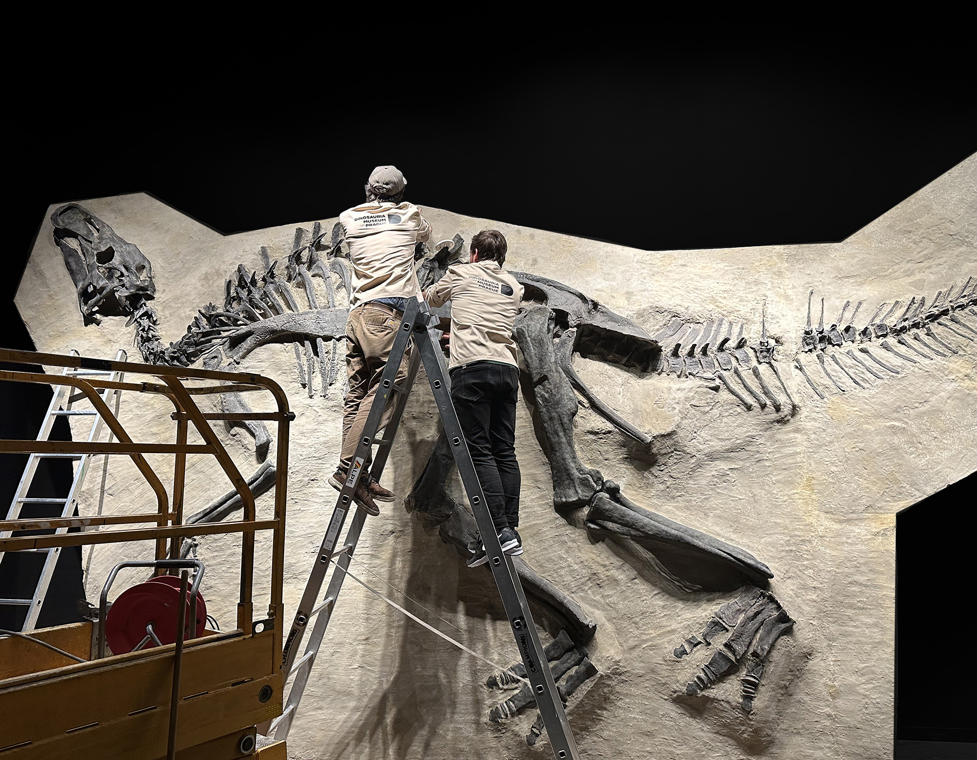 Montage Edmontosaurus