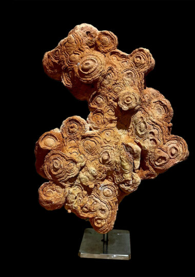 Stroma - Fossile